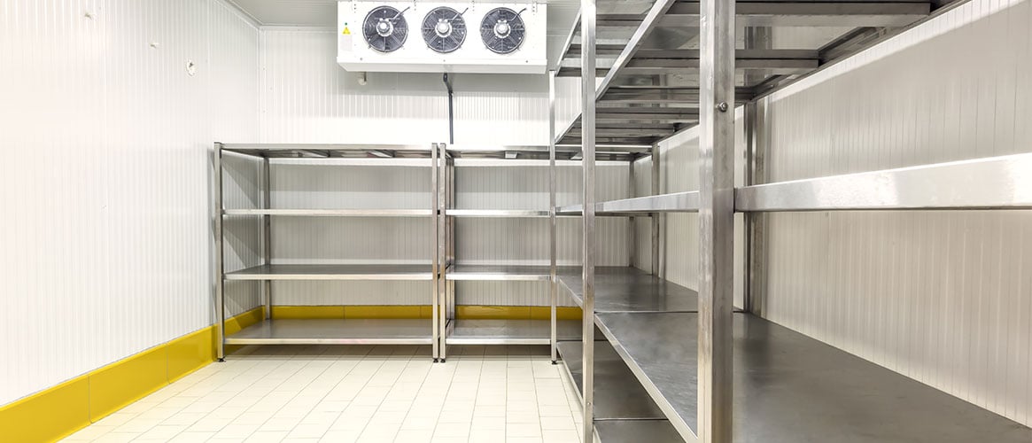 Commercial walk-in freezer for food storage