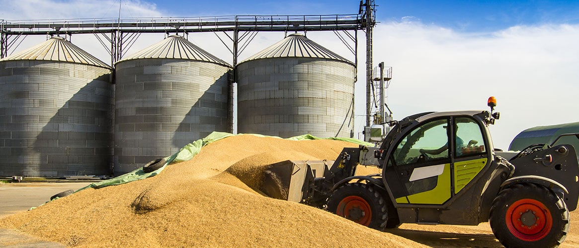 Falls, engulfment, and entanglement in machinery are some silo storage injury risks